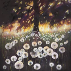 Campo dos sonhos, 2015,